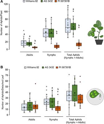 The Source of Rag5-Mediated Resistance to Soybean Aphids Is Located in the Stem